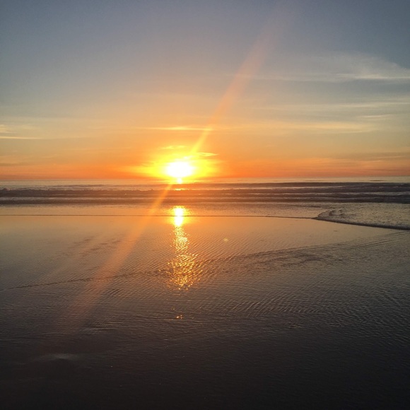 Meet your Posher, Lilly - Picture 1 of 1